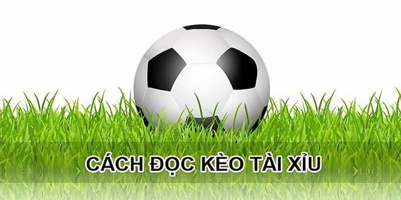 Hướng dẫn đọc kèo Tài Xỉu bóng đá